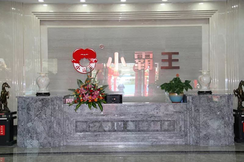 小霸王壁掛爐：三駕馬車（產(chǎn)品、技術(shù)、服務(wù)）助力前行