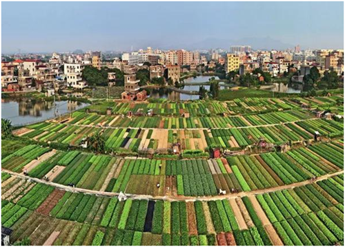 子彈頭可比優居生活館建泓璟園直營店隆重開業