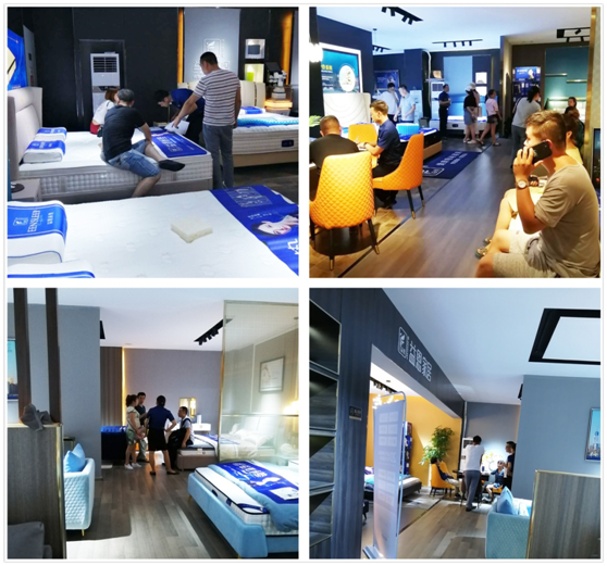 戰績斐然   益恩家居參加2019順德“龍家展”