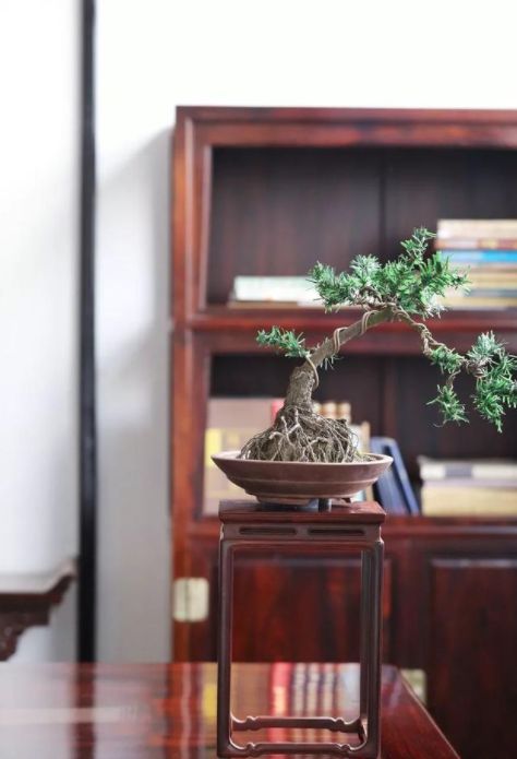 小葉紫檀有束腰云紋小方幾 小葉紫檀有束腰云紋小方幾