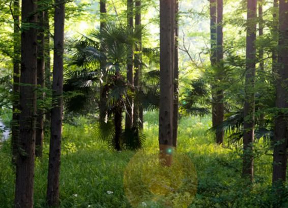 智閣環(huán)保生態(tài)板:你的健康,我們守護 智閣環(huán)保生態(tài)板:你的健康,我們守護