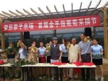 讓休閑農業莊園頭疼的營銷策劃：你需要一個動聽的好故事