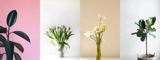 從2020家居潮流4大關鍵詞出發，為您解讀燈飾設計新趨勢