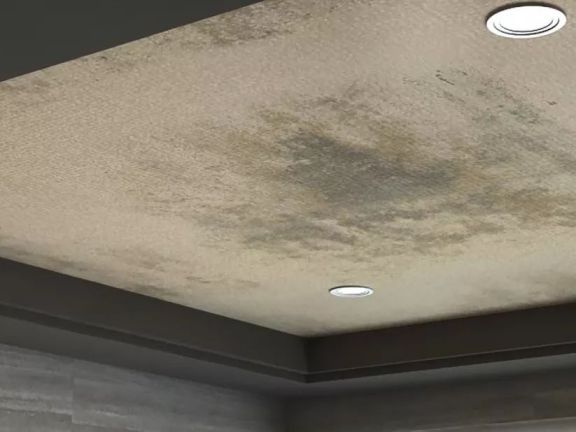 偉星管業|SPM中央集中排水系統痛快有效解決衛生間 堵?漏?臭 偉星管業|SPM中央集中排水系統痛快有效解決衛生間 堵?漏?臭