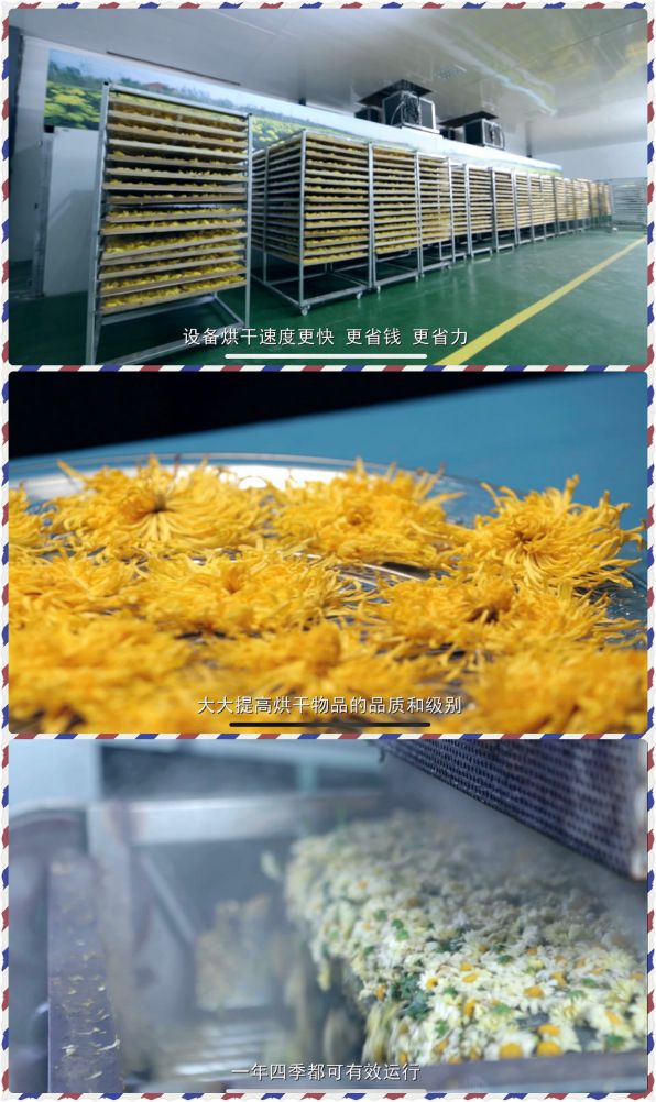 品牌發(fā)展|24年品牌積淀,舒量打造行業(yè)空氣能烘干產(chǎn)品領(lǐng)導(dǎo)者 品牌發(fā)展|24年品牌積淀,舒量打造行業(yè)空氣能烘干產(chǎn)品領(lǐng)導(dǎo)者