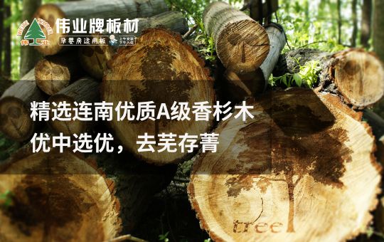 品牌發展|偉業牌板材25年匠心制造,中國板材C位品牌 品牌發展|偉業牌板材25年匠心制造,中國板材C位品牌