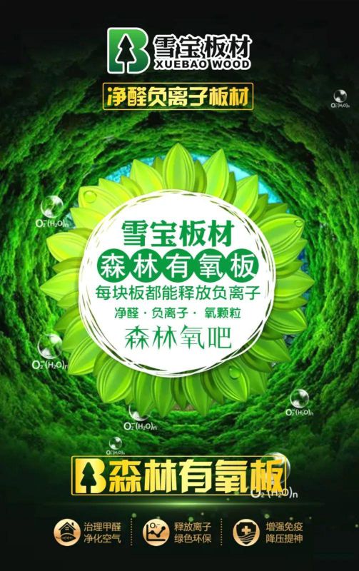 品牌產(chǎn)品|雪寶森林有氧板,有效釋放負(fù)氧離子長達(dá)15年 品牌產(chǎn)品|雪寶森林有氧板,有效釋放負(fù)氧離子長達(dá)15年