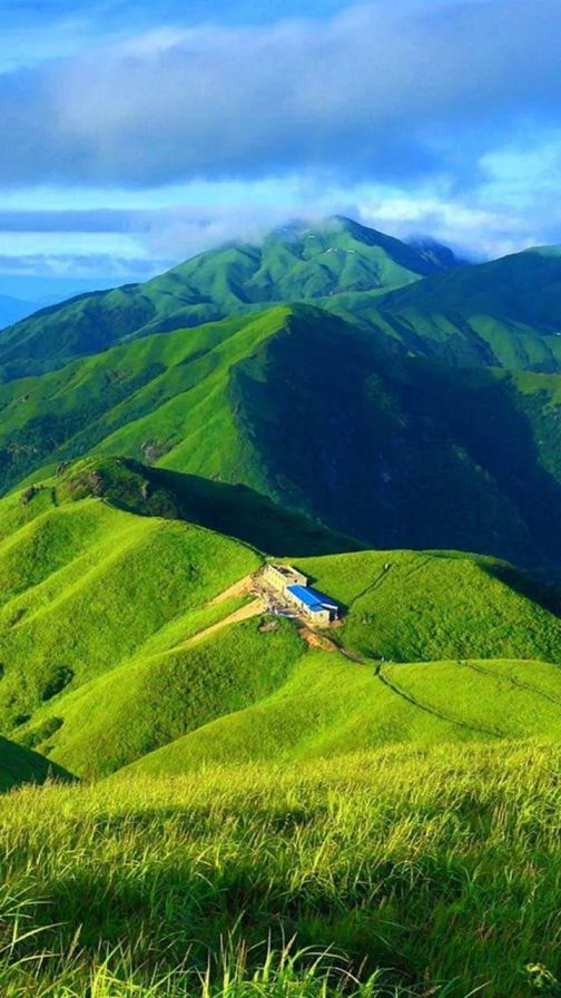 品牌產(chǎn)品|雪寶森林有氧板,有效釋放負(fù)氧離子長達(dá)15年 品牌產(chǎn)品|雪寶森林有氧板,有效釋放負(fù)氧離子長達(dá)15年