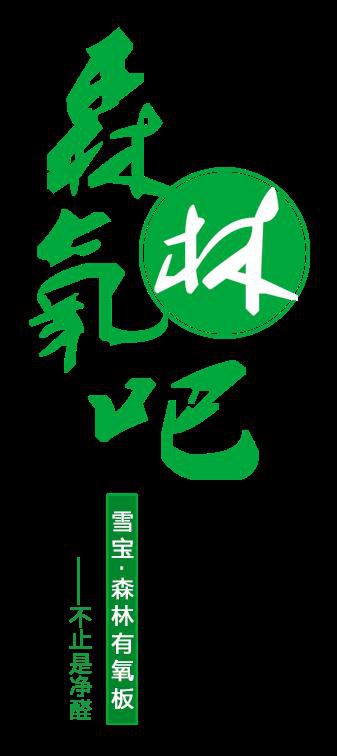 品牌產(chǎn)品|雪寶森林有氧板,有效釋放負(fù)氧離子長達(dá)15年 品牌產(chǎn)品|雪寶森林有氧板,有效釋放負(fù)氧離子長達(dá)15年