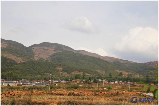 那一抹安靜的藍——金德管業 那一抹安靜的藍——金德管業