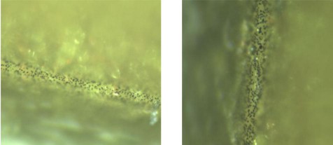 LED美得出眾，離不開抗硫神技 