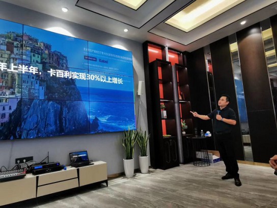 2020上半年，卡百利藝術(shù)涂料實現(xiàn)30%以上增長 