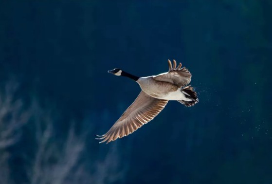 高顏值超實用的健康神器負(fù)離子空氣凈化器,送禮太有排面 高顏值超實用的健康神器負(fù)離子空氣凈化器,送禮太有排面