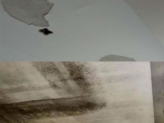 寶仕龍大板全景頂：高品質 零擔憂