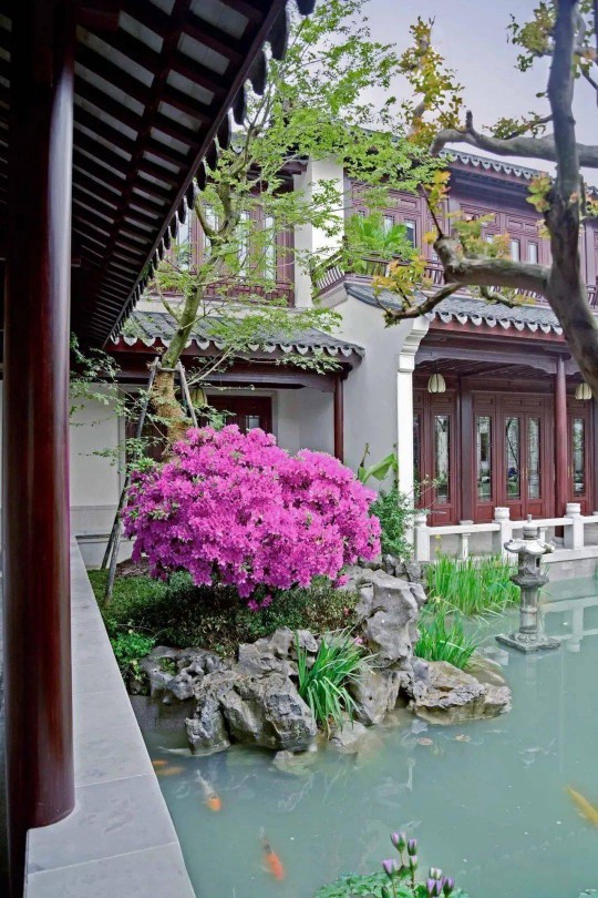 山水為丹青，門窗為鏡頭！三宅門窗為中式建筑添彩… 