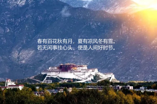 風口丨金艾陶瓷磚全新推出鉆石釉2代 風口丨金艾陶瓷磚全新推出鉆石釉2代