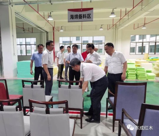 廣東省林業廳領導到五華紅木產業園進行參觀考察