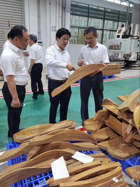 廣東省林業廳領導到五華紅木產業園進行參觀考察