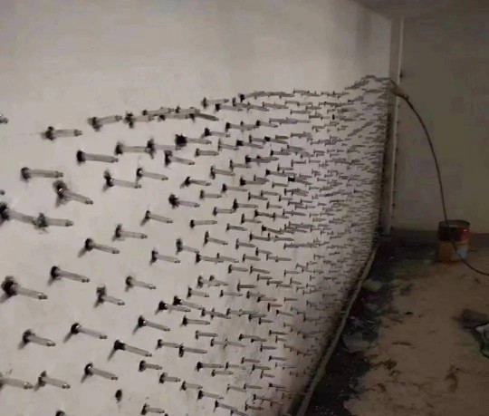 科技+技藝，東方雨虹賦能建筑修繕行業可持續發展