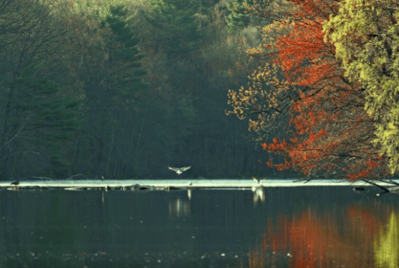 海爾雙增壓零冷水熱水器TR7,水流即刻沖走汗水和暑氣 海爾雙增壓零冷水熱水器TR7,水流即刻沖走汗水和暑氣