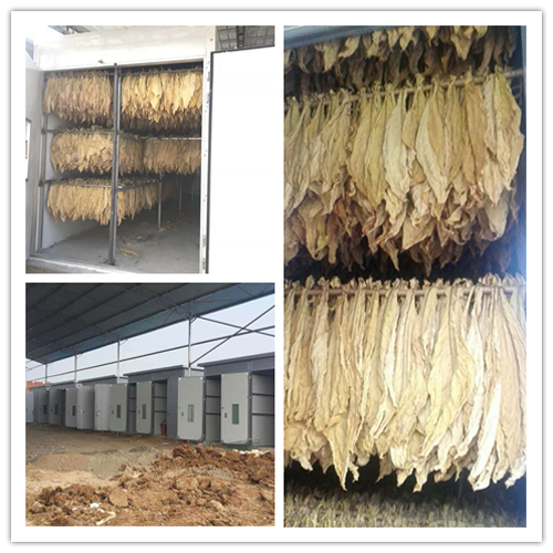 格美粵空氣能首場空氣能煙草烘干直播圓滿結束! 格美粵空氣能首場空氣能煙草烘干直播圓滿結束!