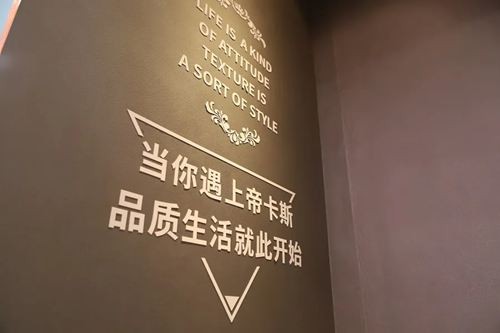 【2020廣州建博會】帝卡斯藝術漆獨領風騷 展館人氣爆棚！