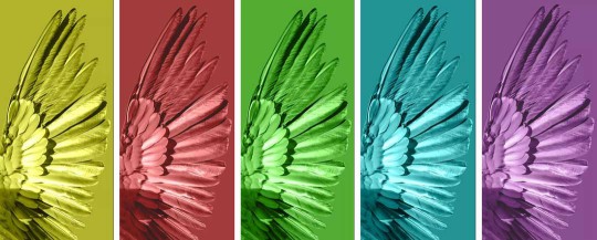 雅麗斯五金展廳升級(jí) | 極簡(jiǎn)之翼,正在展翅翱翔! 雅麗斯五金展廳升級(jí) | 極簡(jiǎn)之翼,正在展翅翱翔!