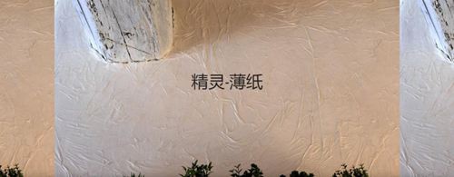 森尼迪克藝術涂料攜帶150年的浪漫品牌,來到中國誠招加盟 森尼迪克藝術涂料攜帶150年的浪漫品牌,來到中國誠招加盟