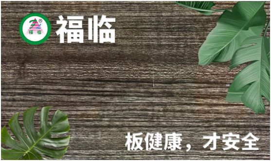 福臨板材：專注健康綠色家裝，造就生活不凡品味