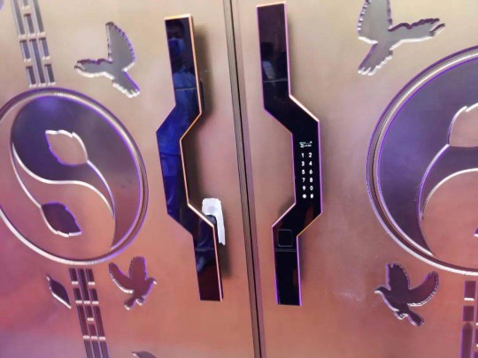 究竟什么樣的智能門才能算得上真正意義的智能門 究竟什么樣的智能門才能算得上真正意義的智能門