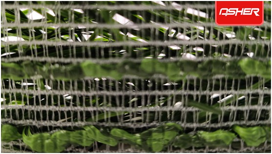 亞設體育發(fā)布ENOCH以諾真假混織草坪，或?qū)⒁袠I(yè)趨勢