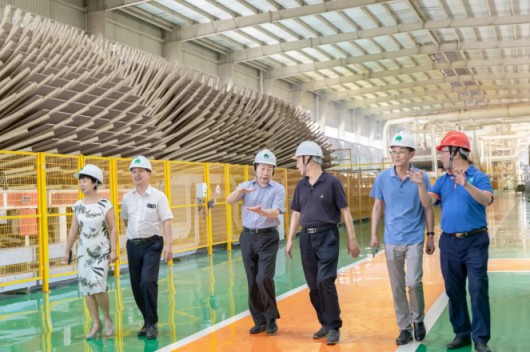 中國木材與木制品流通協(xié)會李佳峰副會長到豐林集團考察