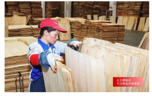 大王椰A7家具板：5A級精選環保原材，健康挑出來