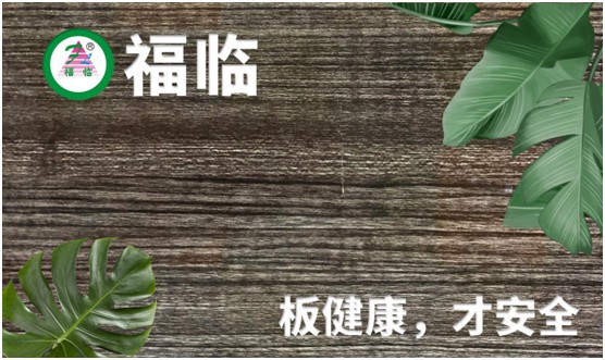 福臨板材:健康櫥柜安心裝 人間煙火安全享