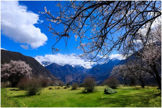 走入巴斯丹頓陽(yáng)光房,親近自然清新的田園生活