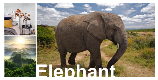 深化品牌形象 林德漆產品包裝全新升級