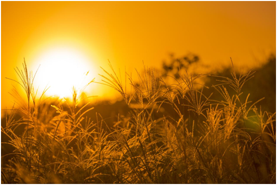 柯萊德門窗：細膩專注只傾情于您