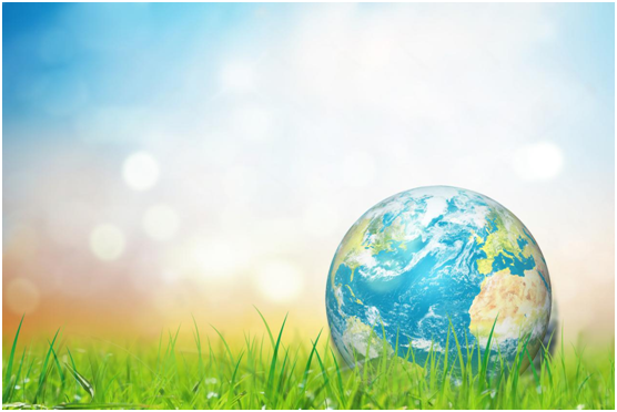 科的涂料把握兩大關鍵詞 在行業中脫穎而出