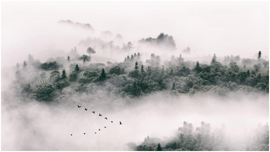 朦朧雅致|宇技優品高顏值隔斷門