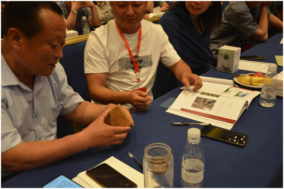 行業大波瀾 掘金共發展 魯麗家居無醛空間新品體驗會盛大開幕