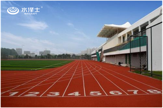 水澤士:“雙減”政策下,體育產業(yè)迎來新機遇!