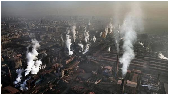 地球日|福臨板材與您攜手，共同保護地球投資